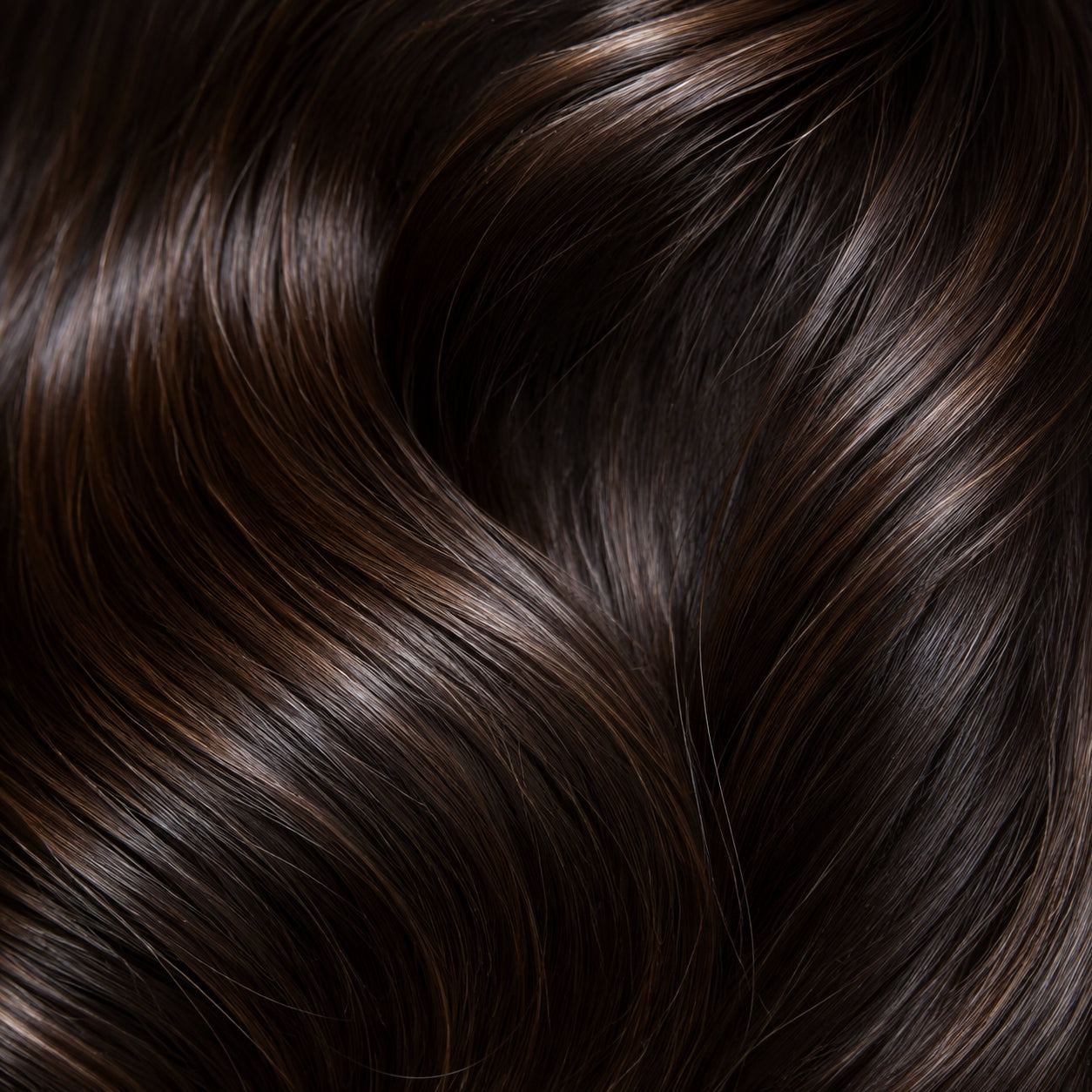 Close-up of glossy, rich colored hair strands