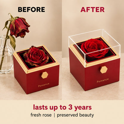 Pomence™ Eternal Rose Box with Heart Necklace — slot3