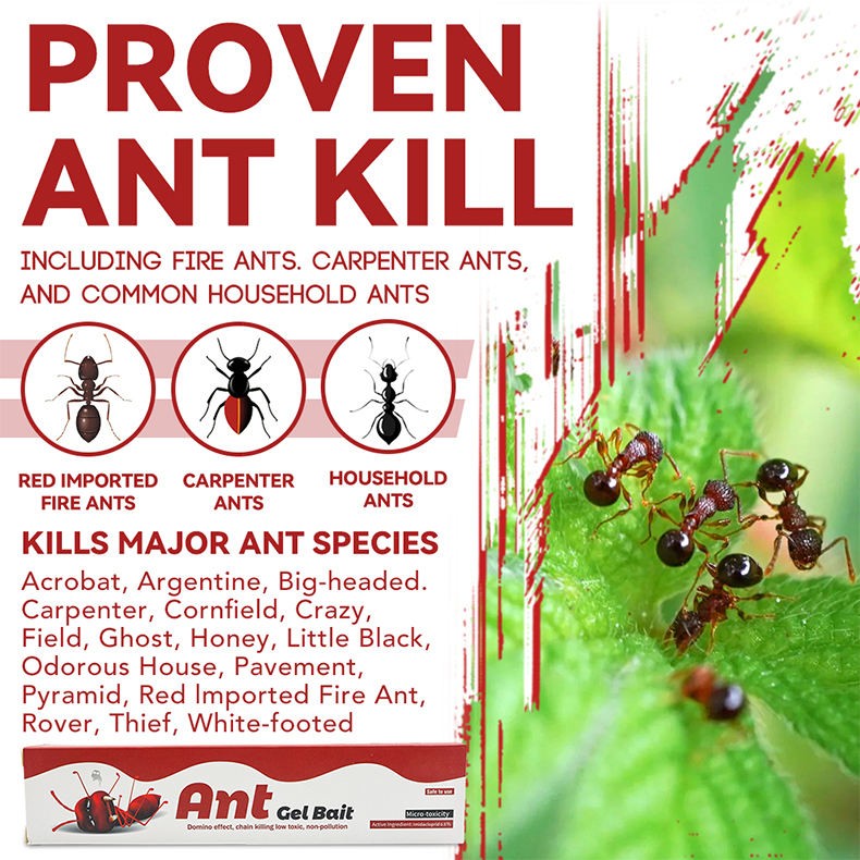Advanced Ant Bait Gel Trap - 10g Syringe