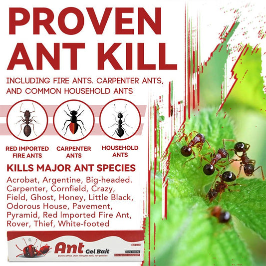 Advanced Ant Bait Gel Trap - 10g Syringe