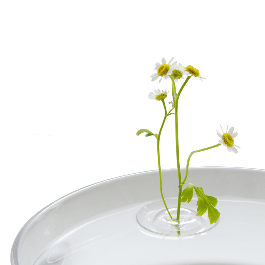 Japanese Floating Ripple Glass Vase