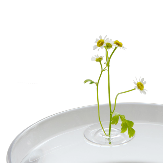 Japanese Floating Ripple Glass Vase