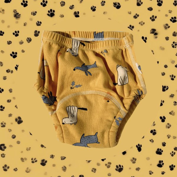 Pomence™ Potty Training Underwear (Buy 1 Get 1 Free)