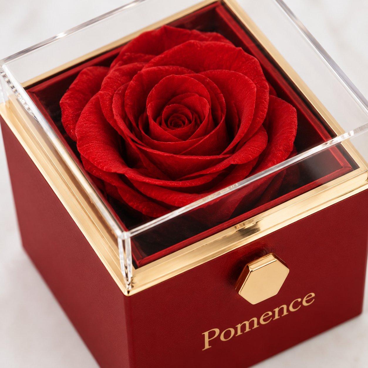 The preserved red rose