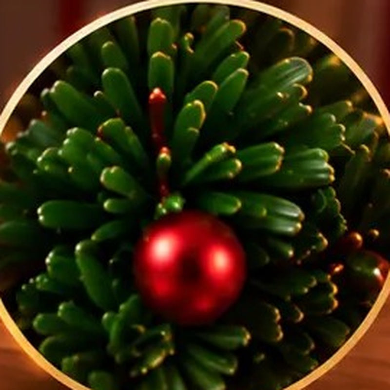 Close-up of the textured green needles and red berries on the lit wreath